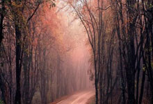 Wall Street's 'Edge': Why the 'Thin Trade' is a Joke - Barely Reacts