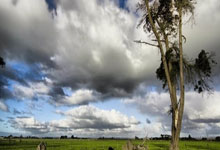 Wall Street's 'Edge': Why the 'Thin Trade' is a Joke - Barely Reacts