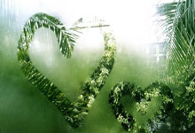 Wall Street's 'Edge': Why the 'Thin Trade' is a Joke - Barely Reacts